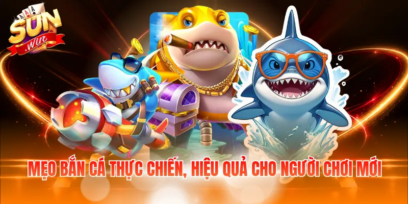 Mẹo bắn cá thực chiến, hiệu quả cho người chơi mới